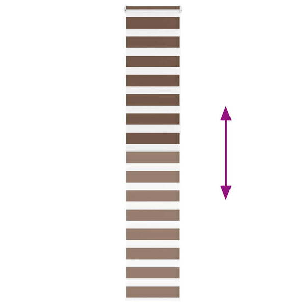 Doppelrollo Braun 50x230 cm