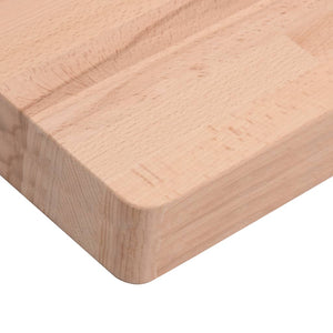 Werkbank Buche Massivholz 100x60 cm