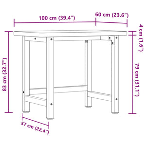 Werkbank Buche Massivholz 100x60 cm