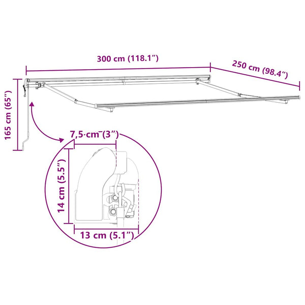 vidaXL Awning Automatic Anthracite and White 300x250 cm