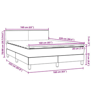vidaXL Box Spring Bed with Mattress & LED Dark Grey 160x220 cm Velvet