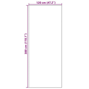 vidaXL Doormat Red and Black 120 x 300 cm Polyamide and PVC