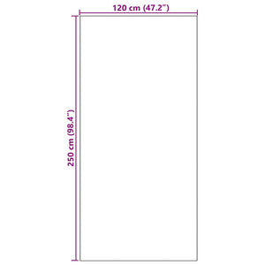 vidaXL Door Mat Cream and Black 120 x 250 cm Polyamide and PVC