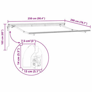 vidaXL Retractable Awning Anthracite 250 x 200 cm Fabric