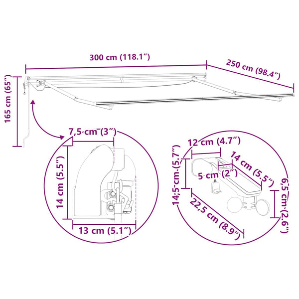 vidaXL Retractable Awning Beige 300 x 250 cm Polyester and Metal