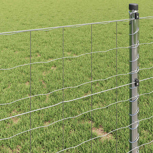 Eurozaun Silber 0,8 x 25 m Feuerverzinkt