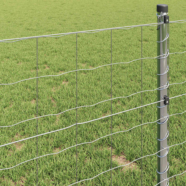 Eurozaun Silber 0,8 x 25 m Feuerverzinkt