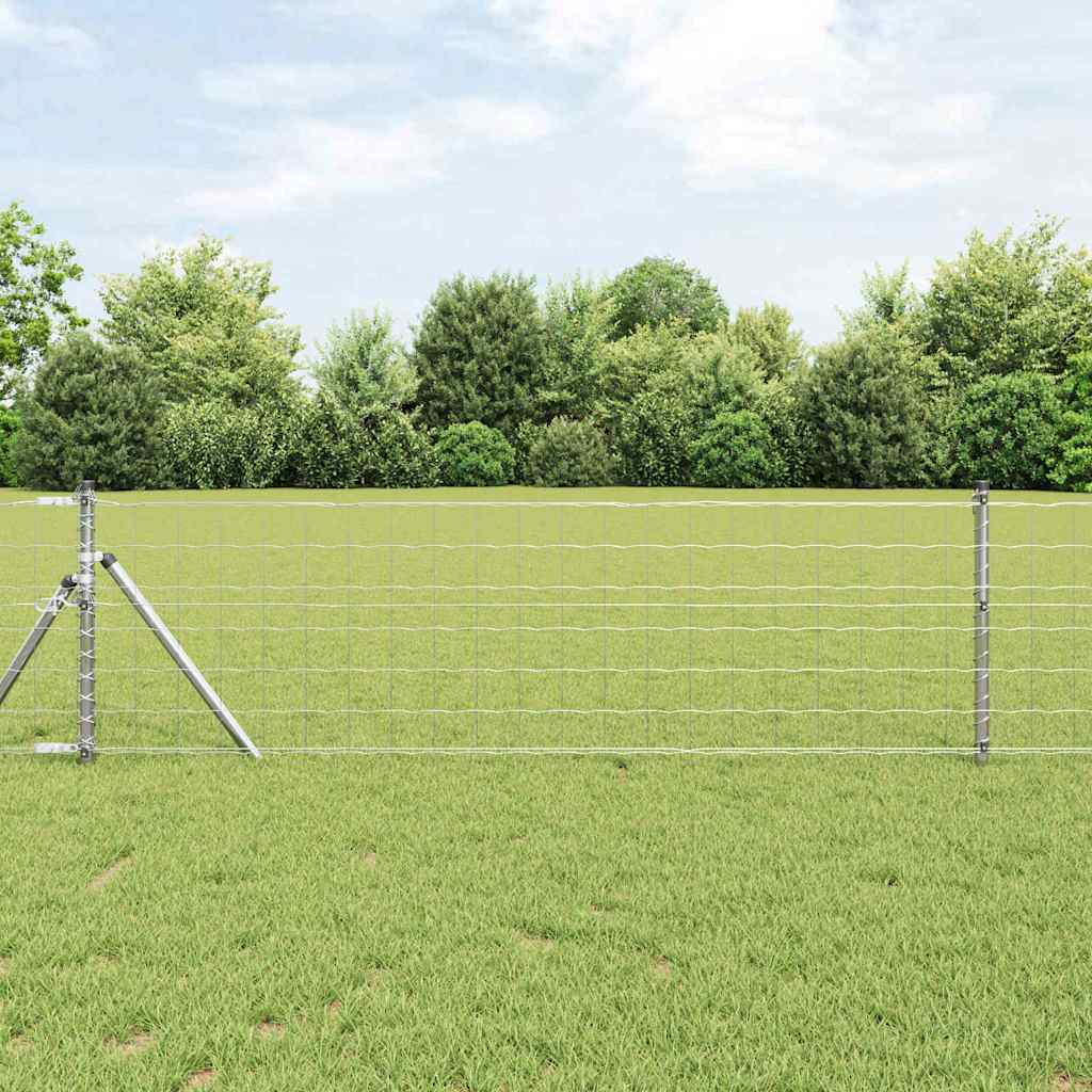 Eurozaun Silber 0,8 x 25 m Feuerverzinkt