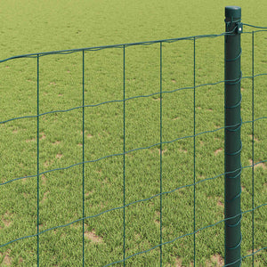 vidaXL Euro Fence Green 0.6 x 50 m PVC-coated Iron
