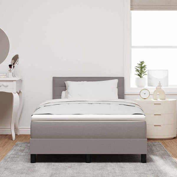 vidaXL Box Spring Bed with Mattress with LED Taupe 120 x 190 cm Fabric