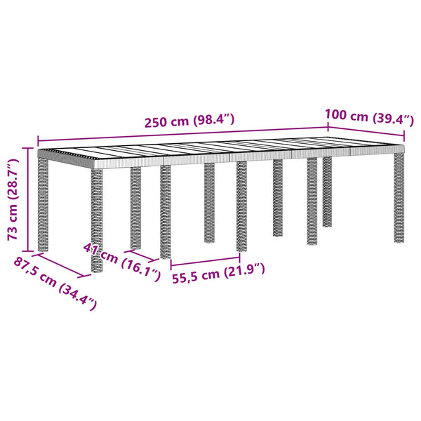 vidaXL Garden Table Anthracite 250 x 100 x 73 cm Poly Rattan