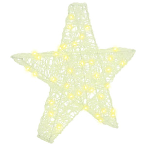 vidaXL 3D Star with 50 Warm White LEDs 55 x 53.5 x 10 cm Acrylic