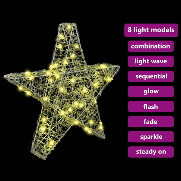 vidaXL 3D Star with 50 Warm White LEDs 55 x 53.5 x 10 cm Acrylic