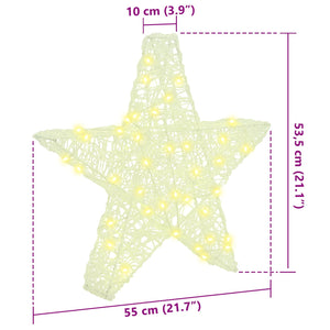 vidaXL 3D Star with 50 Warm White LEDs 55 x 53.5 x 10 cm Acrylic