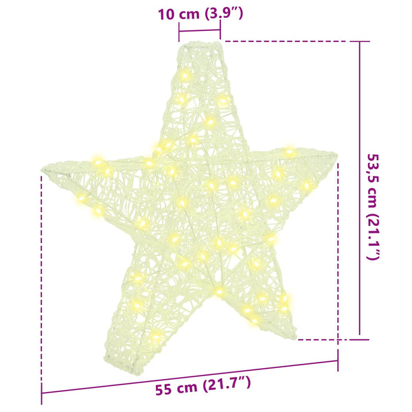 vidaXL 3D Star with 50 Warm White LEDs 55 x 53.5 x 10 cm Acrylic