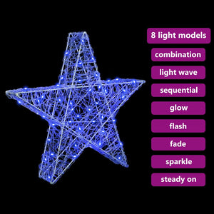 vidaXL 3D Star with 50 Blue LEDs 55 x 53.5 x 10 cm Acrylic