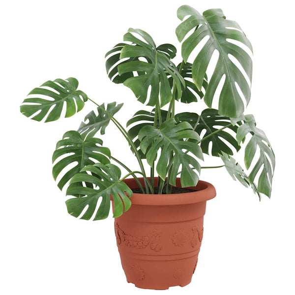 vidaXL Round Flower Pot 6 pcs Terracotta Ø 30 x 25 cm Plastic