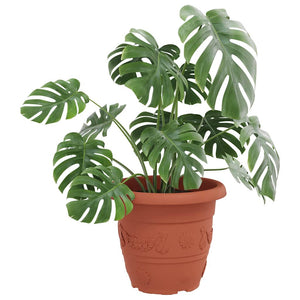 vidaXL Round Flower Pot 6 pcs Terracotta Ø 34 x 28 cm Plastic