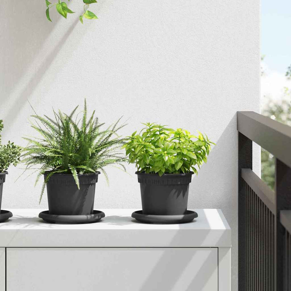 Blumentöpfe Schwarz 24er Set Ø12,5cm