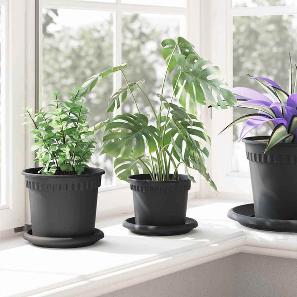 Blumentöpfe Schwarz 24er Set Ø12,5cm