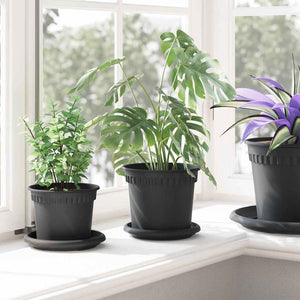 Blumentöpfe Schwarz Ø 15cm, 24er Set