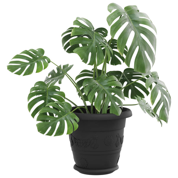 Blumentöpfe Schwarz 22 cm, 24er Set