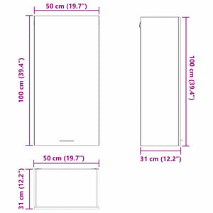 vidaXL Wall Cabinet with Door Black Oak and White 50 x 31 x 100 cm
