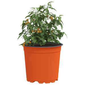 vidaXL Plant Pot 200 pcs Terracotta Ø 15 x 13 cm Plastic