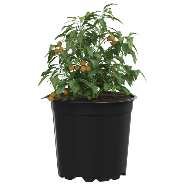 vidaXL Flower Pot 100 pcs Black Ø 15 x 13 cm Plastic