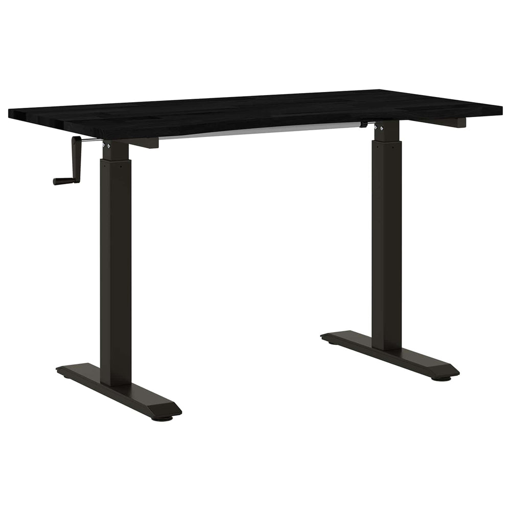 vidaXL Desk with Storage Black and Dark Brown 120 x 60 cm