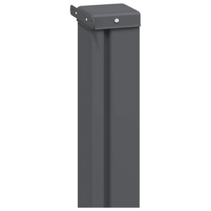 vidaXL Retractable Side Awning Black 300 x 100 cm Polyester