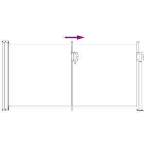 vidaXL Retractable Side Awning Black 300 x 100 cm Polyester