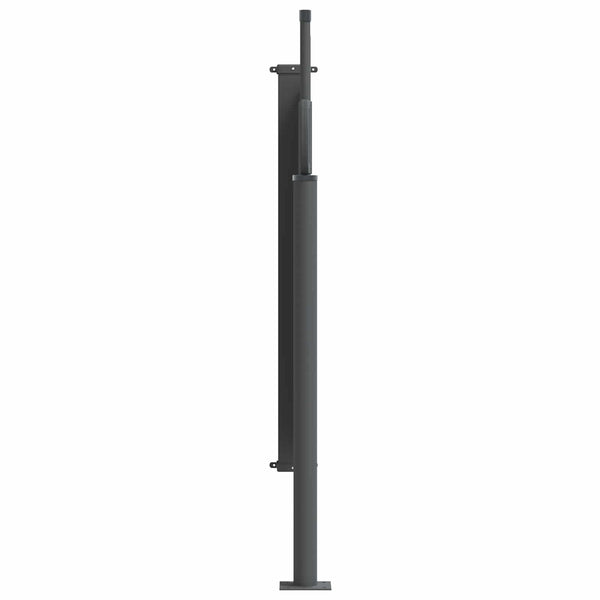 vidaXL Retractable Side Awning Black 300 x 100 cm Polyester