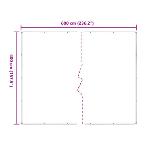 vidaXL Transparent Plant Cover 4 x 6 m PE
