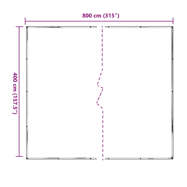 vidaXL Transparent Plant Cover 4 x 8 m PE