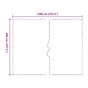 vidaXL Plant Cover Transparent 4 x 12 m PE