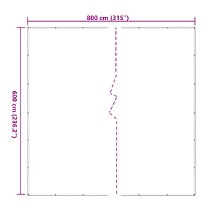 vidaXL Plant Cover Transparent 6 x 8 m PE