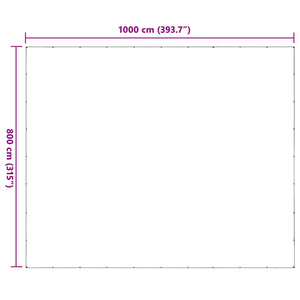 vidaXL Transparent Plant Cover 8 x 10 m PE