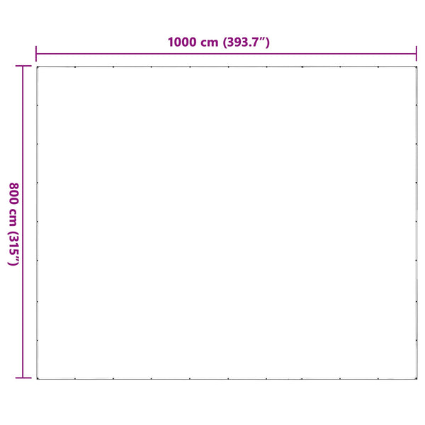 vidaXL Transparent Plant Cover 8 x 10 m PE