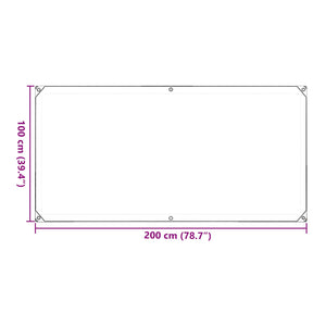 vidaXL Plant Cover Transparent 1 x 2 m PVC