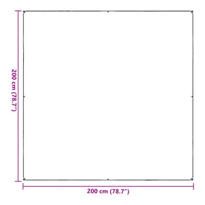 vidaXL Transparent Plant Cover 2 x 2 m PVC