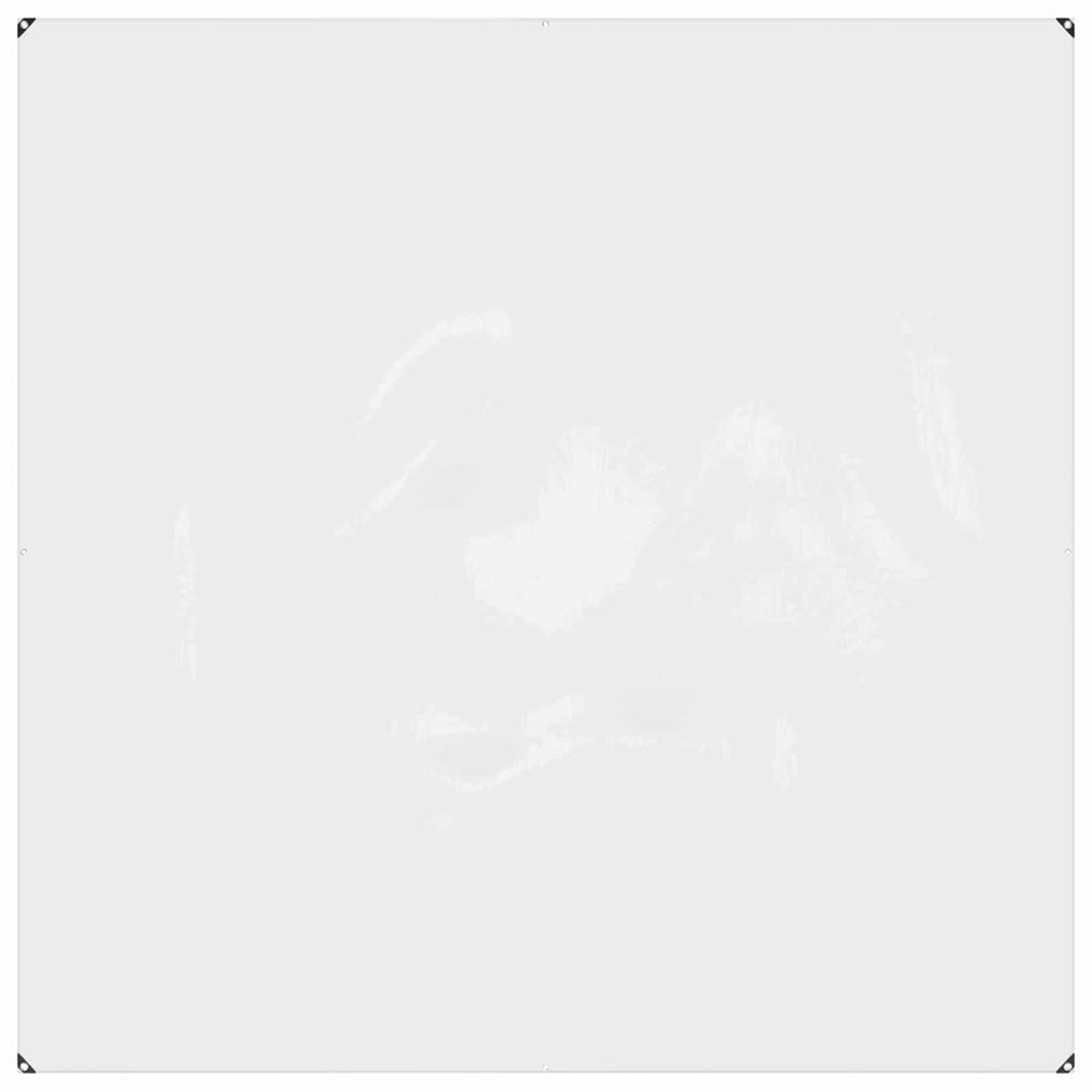 vidaXL Transparent Plant Cover 2 x 2 m PVC