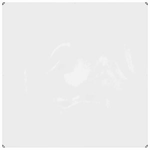 vidaXL Transparent Plant Cover 2 x 2 m PVC