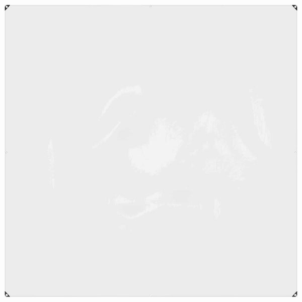 vidaXL Transparent Plant Cover 2 x 2 m PVC