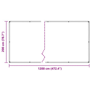 vidaXL Plant Cover Transparent 2 x 12 m PVC