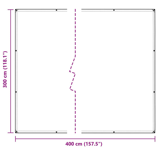 vidaXL Transparent Plant Cover 3 x 4 m PVC