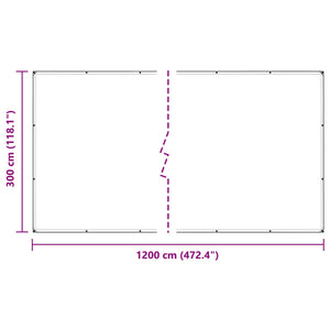 vidaXL Plant Cover Transparent 3 x 12 m PVC