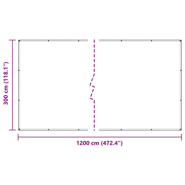 vidaXL Plant Cover Transparent 3 x 12 m PVC