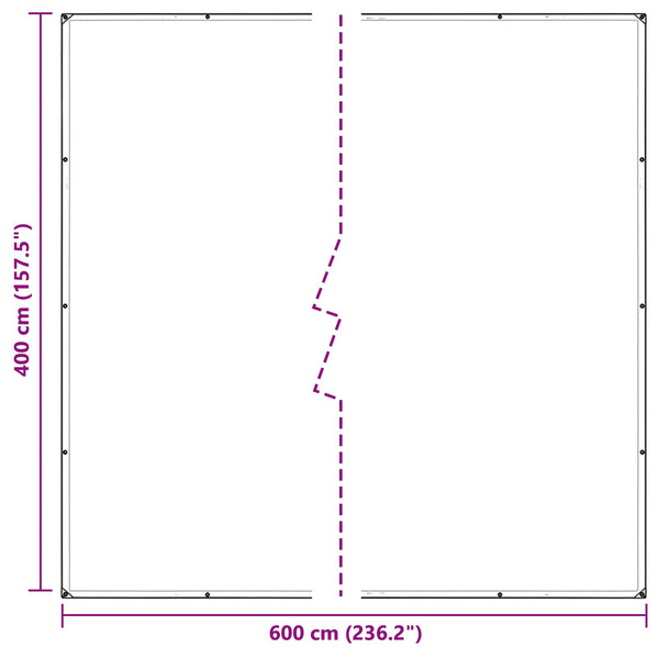 vidaXL Plant Cover Transparent 4 x 6 m PVC