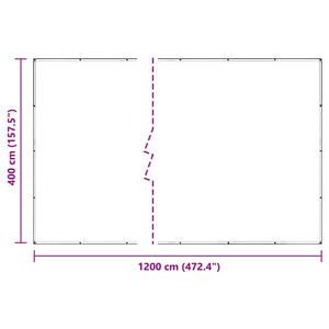 vidaXL Transparent Plant Cover 4 x 12 m PVC
